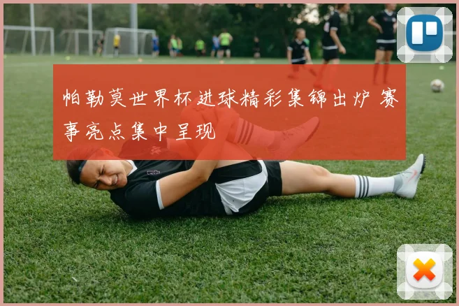 帕勒莫世界杯进球精彩集锦出炉 赛事亮点集中呈现